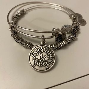 Alex and Ani Pawsitive vibes set